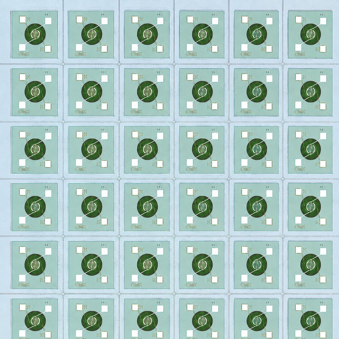 隱形雷射切割後的感測器晶片陣列